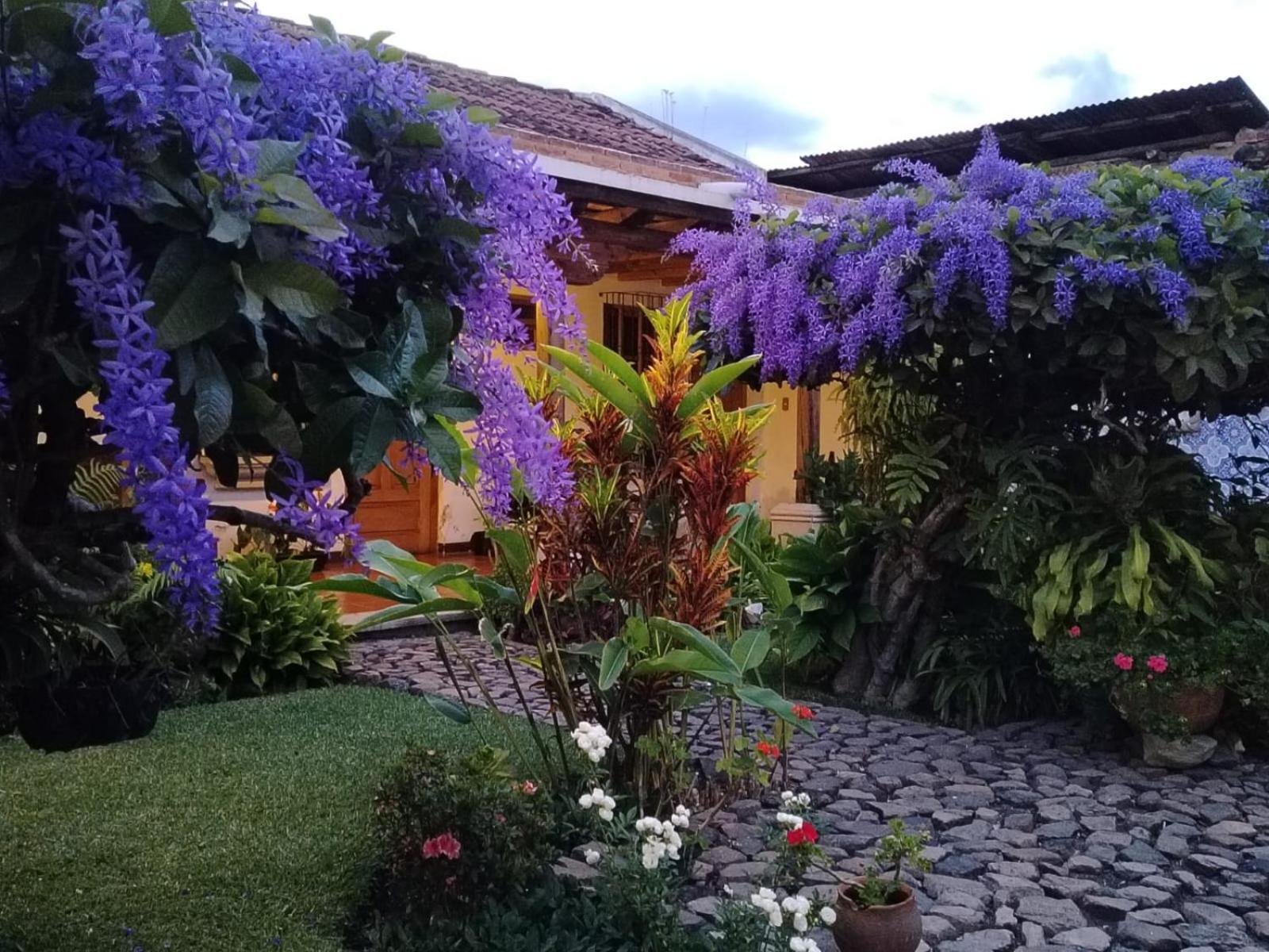 Hostal San Nicolas Antigua Εξωτερικό φωτογραφία