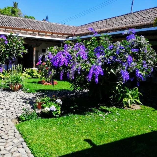 Hostal San Nicolas Antigua Εξωτερικό φωτογραφία