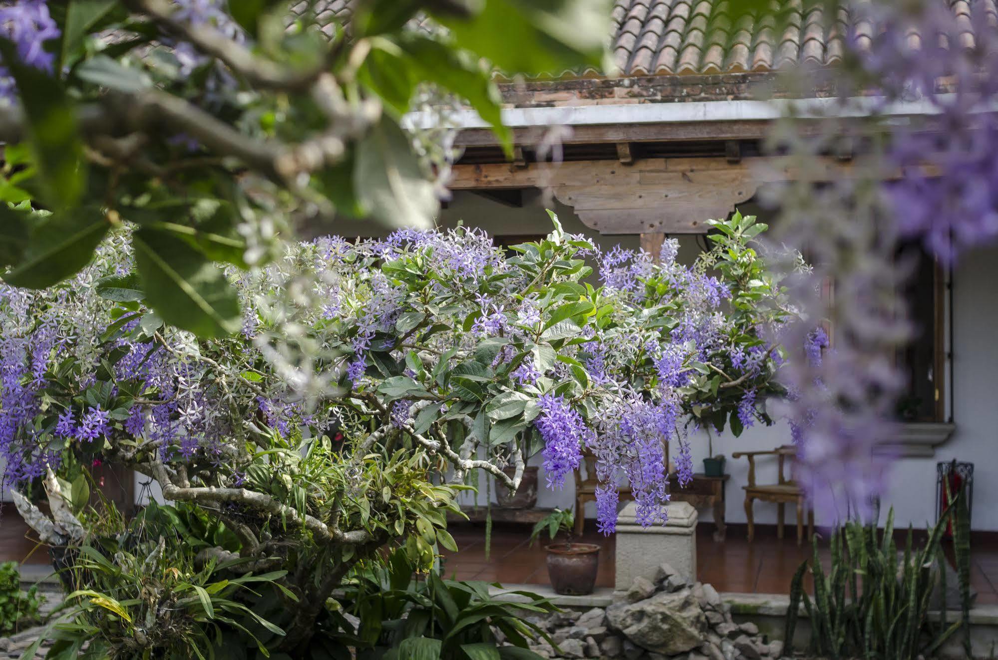 Hostal San Nicolas Antigua Εξωτερικό φωτογραφία